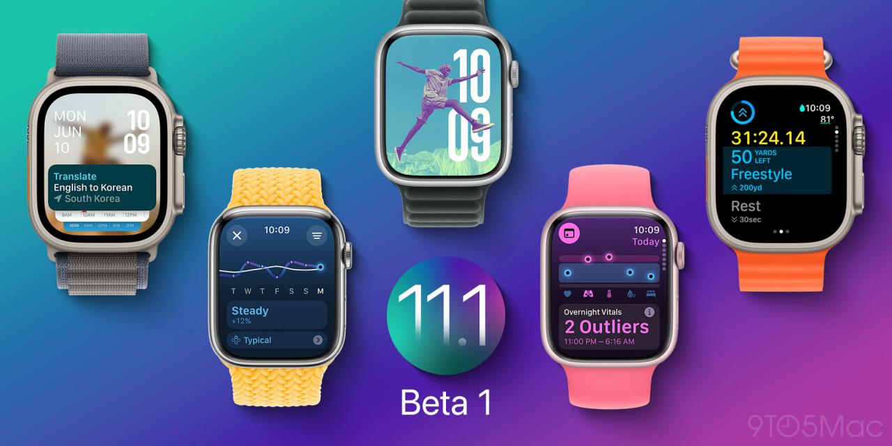 watchOS 11.1 beta 1